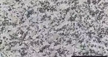 衡水 芙蓉白（芝麻白大花）火烧面