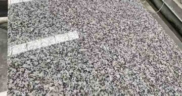 衡水 芙蓉白光面