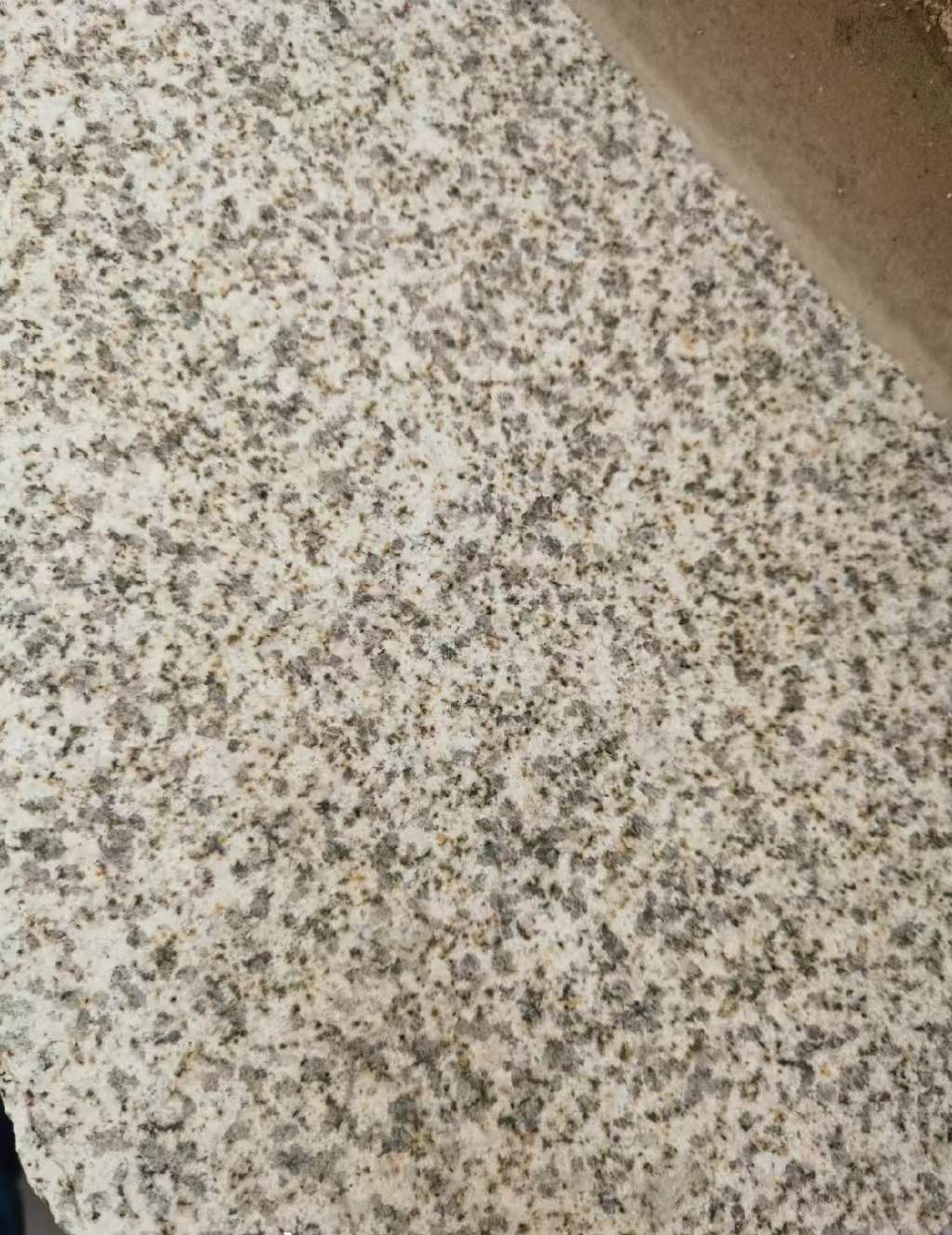 衡水 黄金麻中黄光面