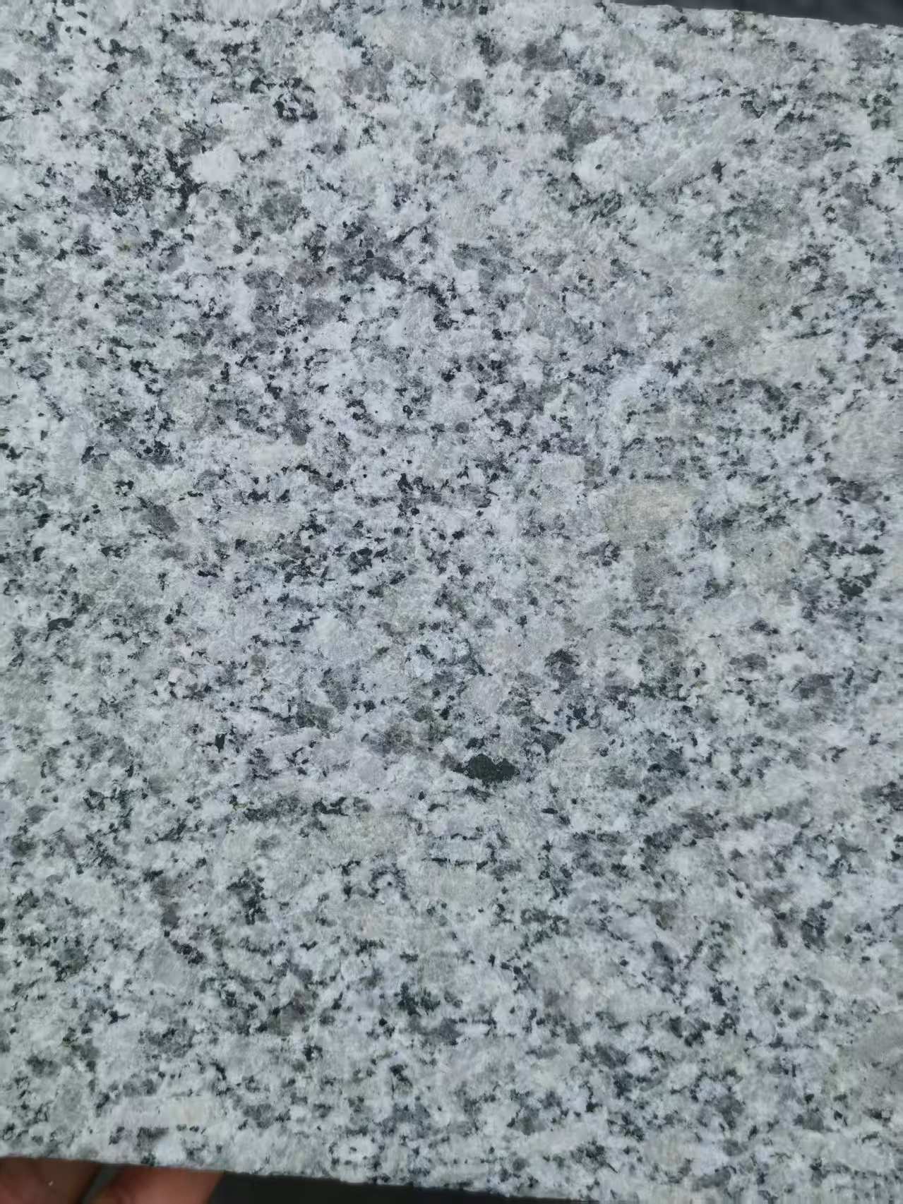 衡水 芙蓉白火烧面