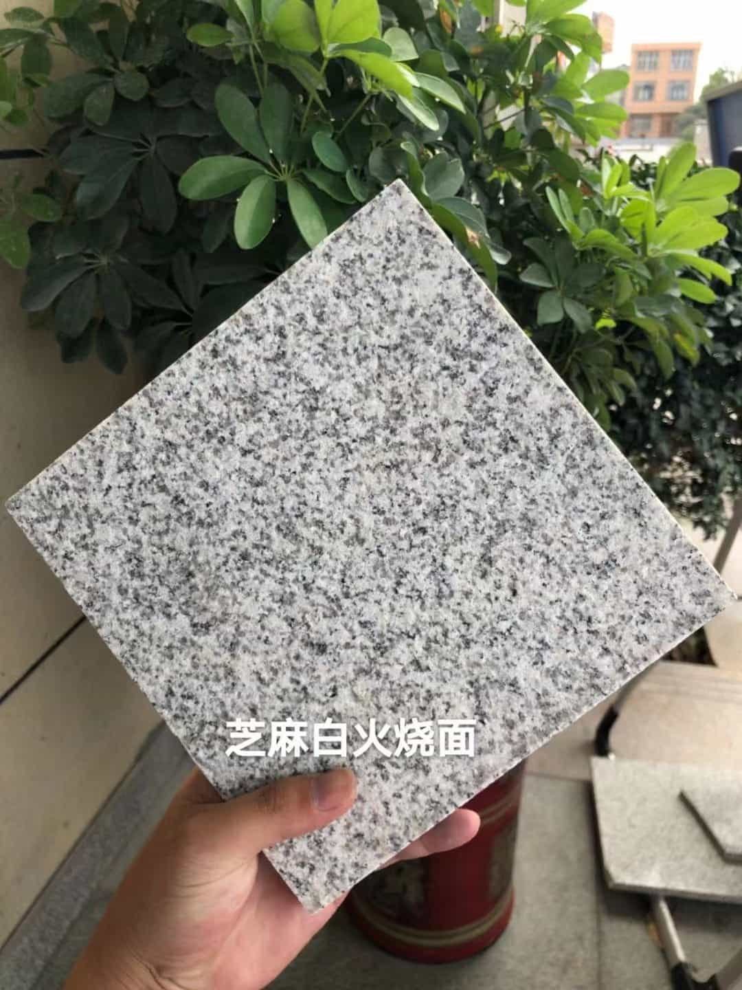 衡水芝麻白火烧面地铺